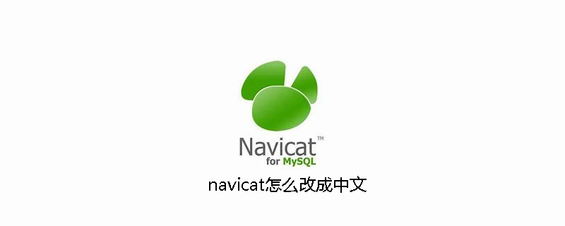 navicat怎么改成中文