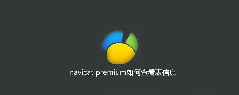 navicat premium如何查看表信息