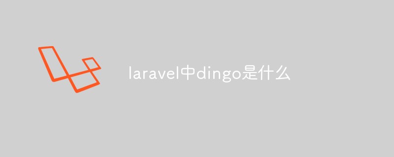laravel中dingo是什么