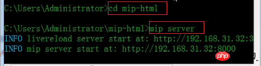 怎么测试Mip页面运行情况